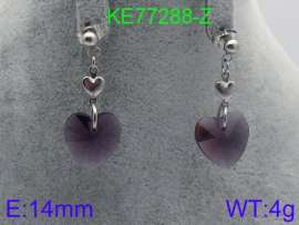 Stainless Steel Stone&Crystal Earring