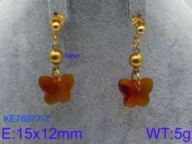 Stainless Steel Stone&Crystal Earring