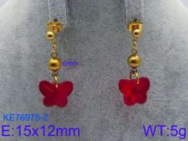 Stainless Steel Stone&Crystal Earring