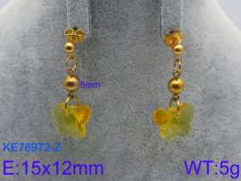 Stainless Steel Stone&Crystal Earring