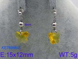 Stainless Steel Stone&Crystal Earring
