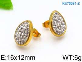 Stainless Steel Stone&Crystal Earring