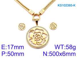 SS Jewelry Set(Most Women)