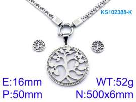 SS Jewelry Set(Most Women)