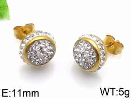Stainless Steel Stone&Crystal Earring