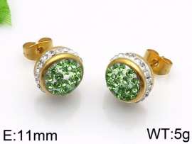 Stainless Steel Stone&Crystal Earring