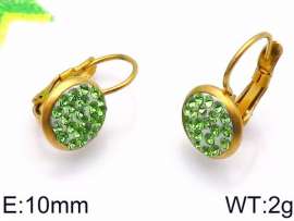 Stainless Steel Stone&Crystal Earring