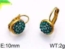 Stainless Steel Stone&Crystal Earring