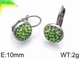 Stainless Steel Stone&Crystal Earring