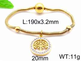 Stainless Steel Gold-plating Bracelet
