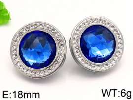 Stainless Steel Stone&Crystal Earring