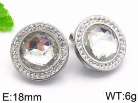 Stainless Steel Stone&Crystal Earring