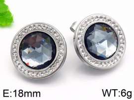 Stainless Steel Stone&Crystal Earring