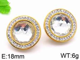 Stainless Steel Stone&Crystal Earring