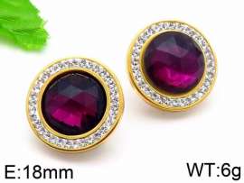 Stainless Steel Stone&Crystal Earring