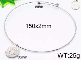 Stainless Steel Collar