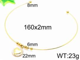 Stainless Steel Collar
