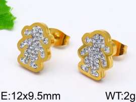 Stainless Steel Stone&Crystal Earring