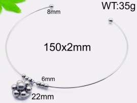 Stainless Steel Collar