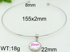 Stainless Steel Collar