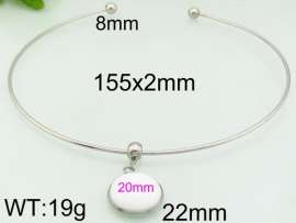 Stainless Steel Collar