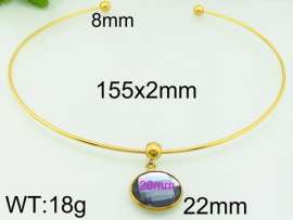 Stainless Steel Collar