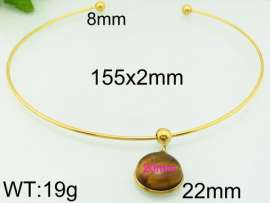 Stainless Steel Collar