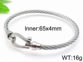 Stainless Steel Wire Bangle