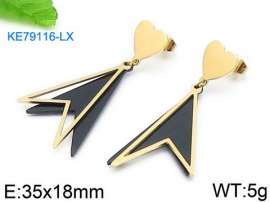 Stainless Steel Black-plating Earring