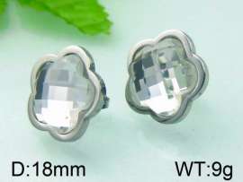 Stainless Steel Stone&Crystal Earring