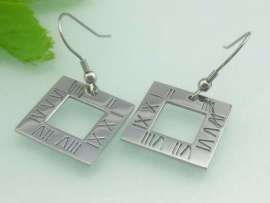 Stainless Steel Earring