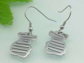 Stainless Steel Earring