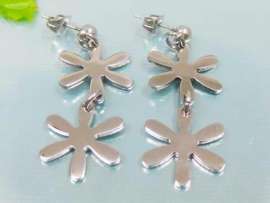 Stainless Steel Earring