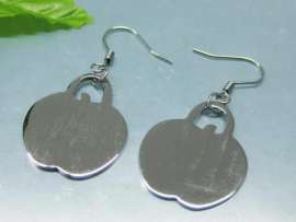 Stainless Steel Earring