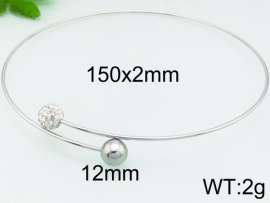 Stainless Steel Collar