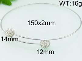 Stainless Steel Collar