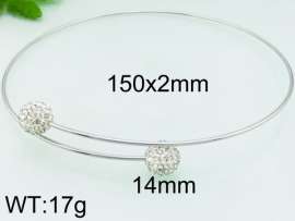 Stainless Steel Collar