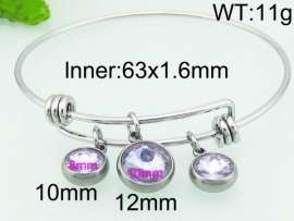 Stainless Steel Stone Bangle