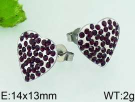 Stainless Steel Stone&Crystal Earring