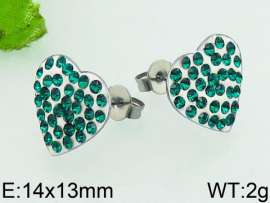 Stainless Steel Stone&Crystal Earring
