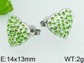 Stainless Steel Stone&Crystal Earring