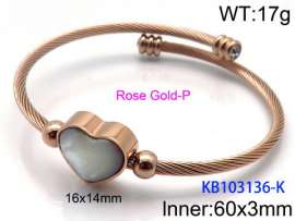 Stainless Steel Wire Bangle