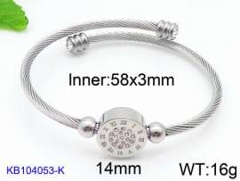 Stainless Steel Wire Bangle