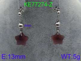 Stainless Steel Stone&Crystal Earring