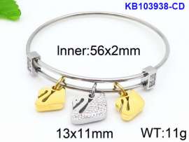 Stainless Steel Stone Bangle