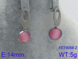 Stainless Steel Stone&Crystal Earring