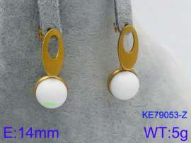 Stainless Steel Stone&Crystal Earring