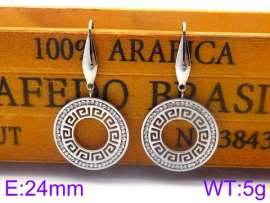 Stainless Steel Stone&Crystal Earring