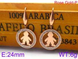 Stainless Steel Stone&Crystal Earring