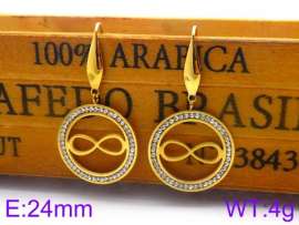 Stainless Steel Stone&Crystal Earring